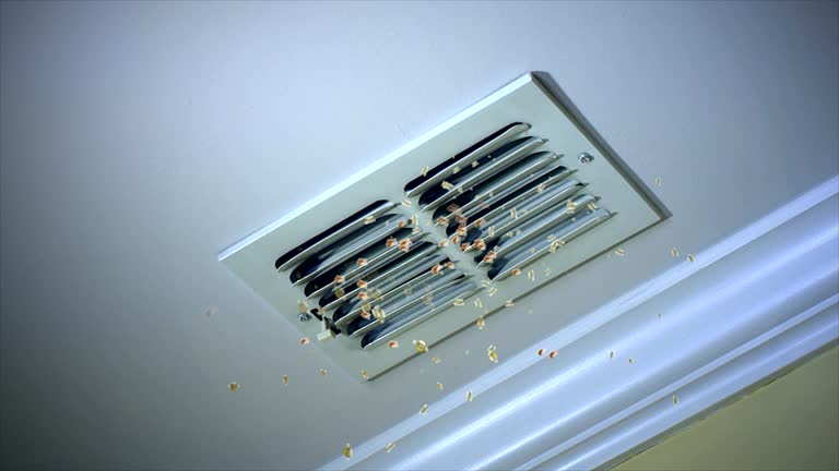 Best Air Duct Cleaning Near Me  in Thedral City, CA